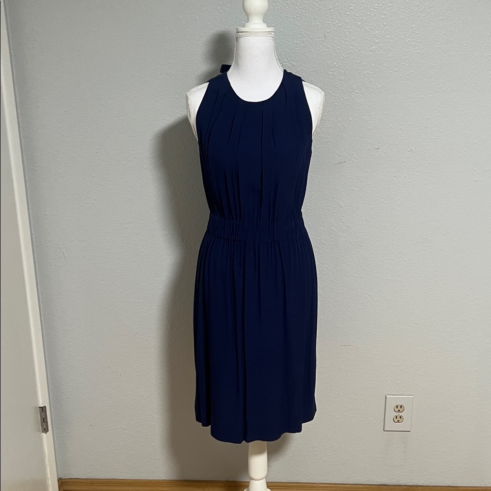 Kate Spade Blueberry Dress